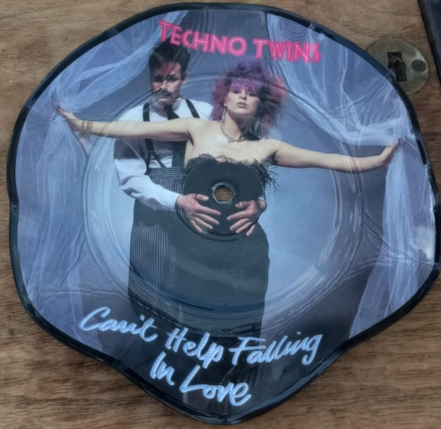 &quot;Techno Twins&quot;