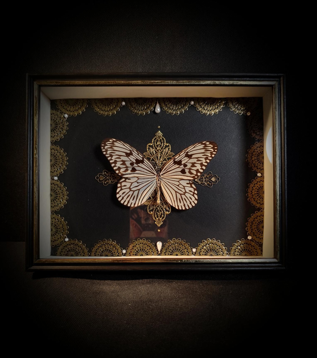 Cadre Papillon "Idea Idea"