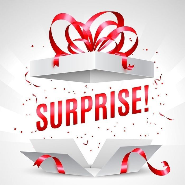 COLIS SURPRISES