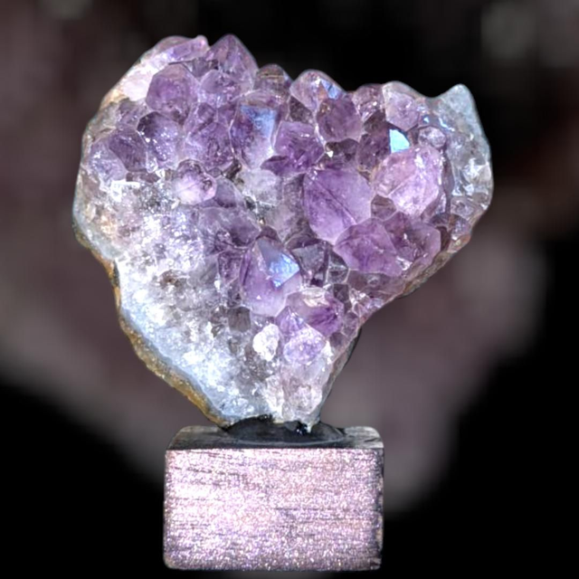 Druse d&#039;Améthyste sur pied