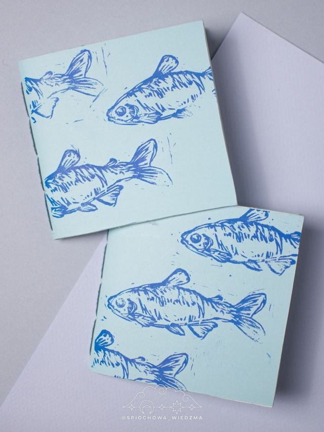 Notesik Rybki | ZWIERZĘTA