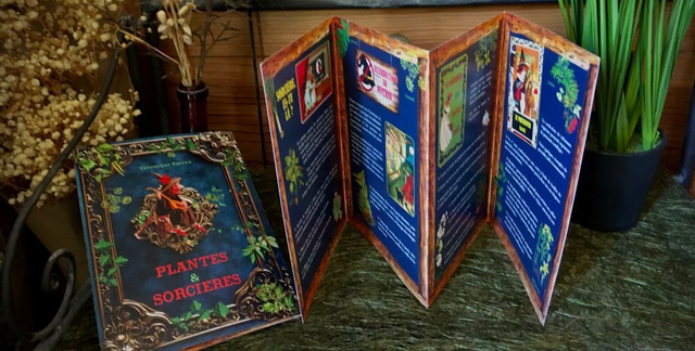 Plantes et sorcières