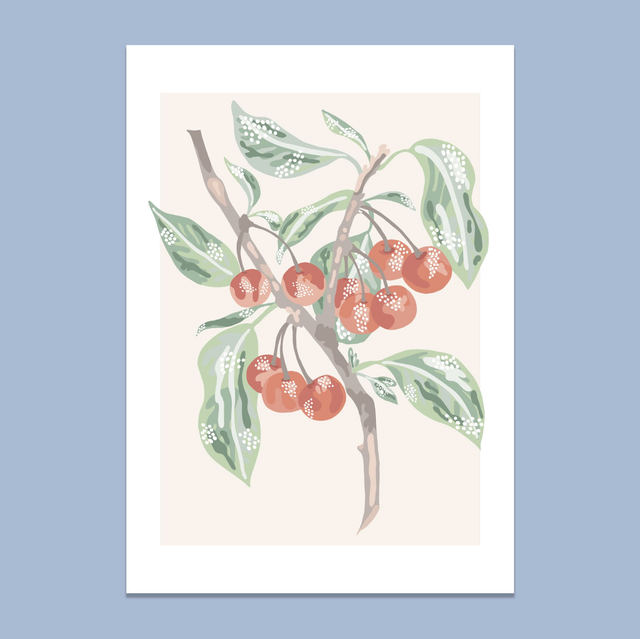 Les cerises 🍒 