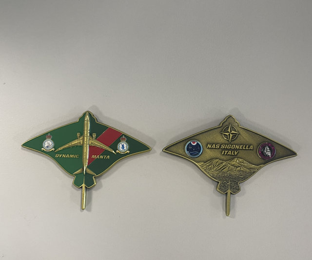 Dynamic Manta 25 Coin