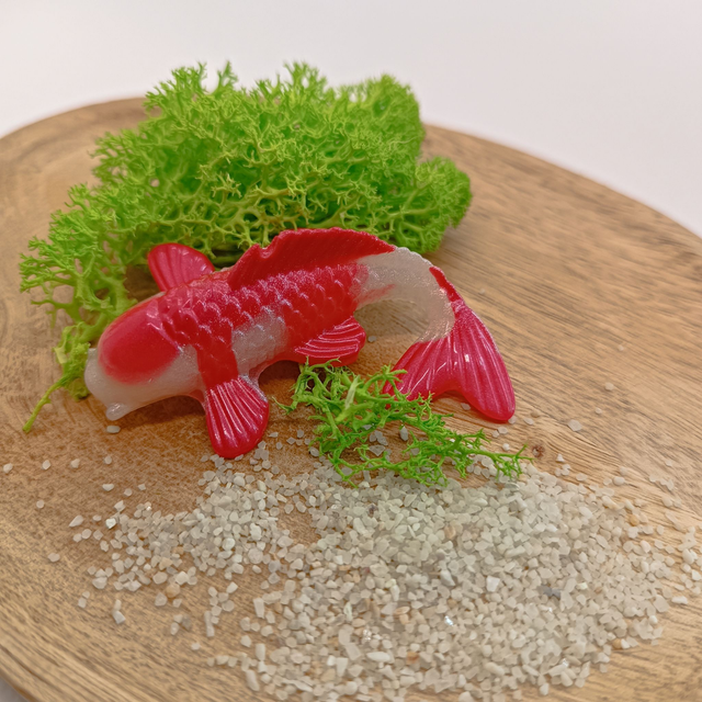 Poisson - Blanc et Rouge