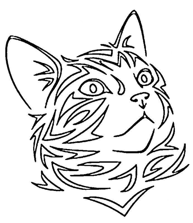 Gravure chat