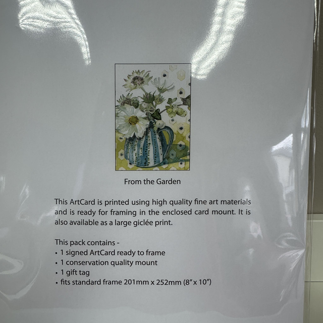 White Cosmos and Astrantia Art Card