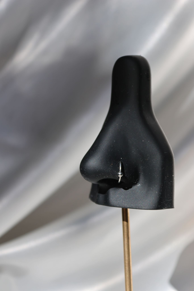 Faux anneau de nez Dot argent