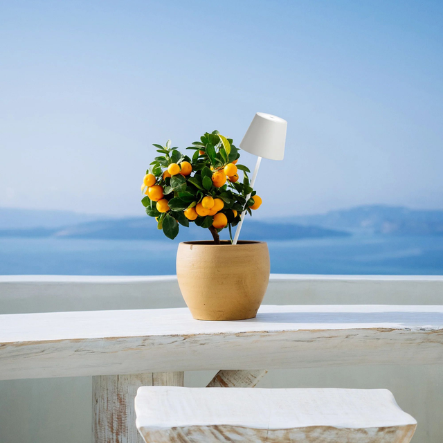  Zafferano Poldina Lampe avec piquet 