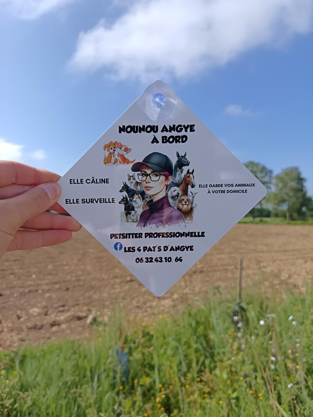 Plaque de voiture 