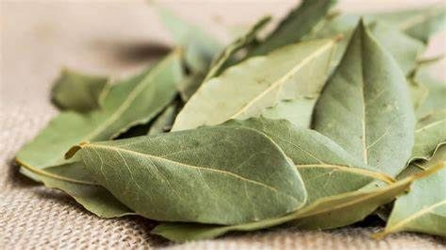 Folhas de Louro 50 gr