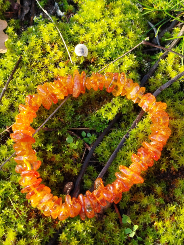 Bracelet Ambre