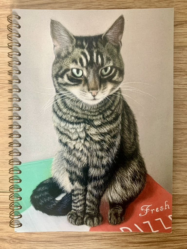 2026 Diary -Tabby Cat - A5