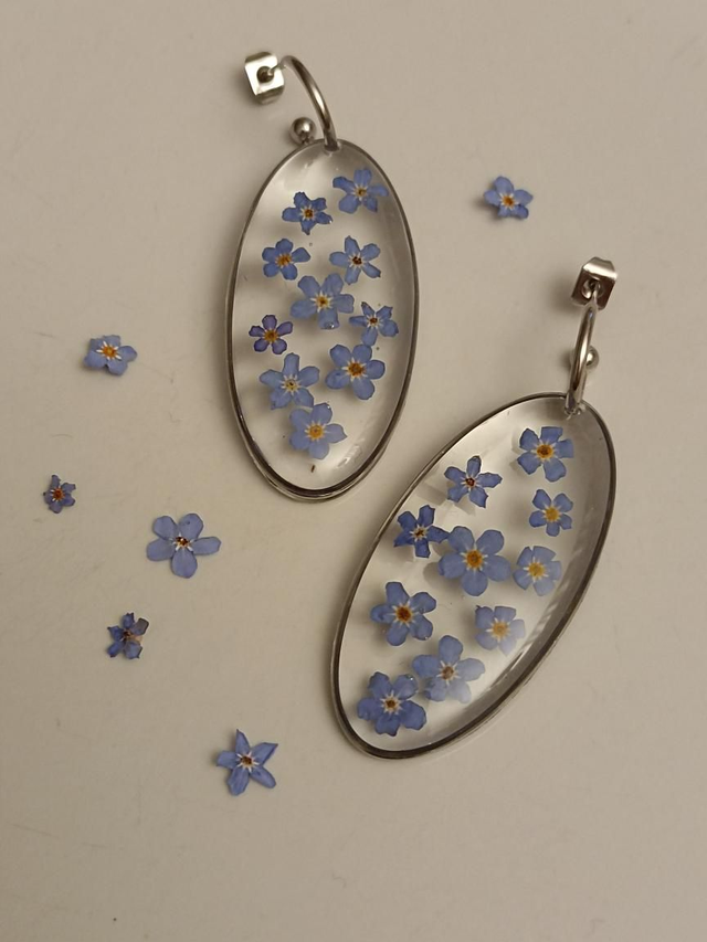 Modèle unique - Myosotis 