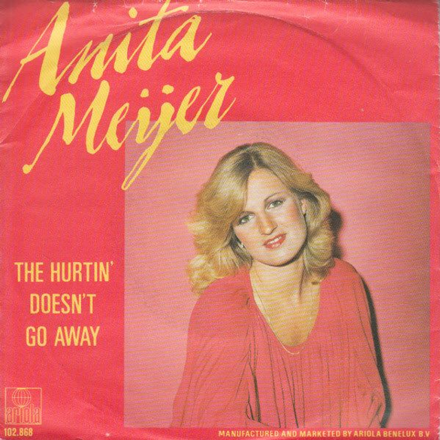 Anita Meyer - The Hurtin' Doesn't Go Away