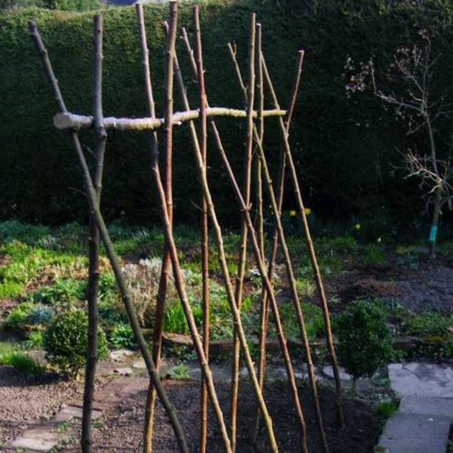 Hand grown and cut wood crafts 