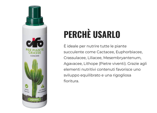 Cifo Concime Cactus 