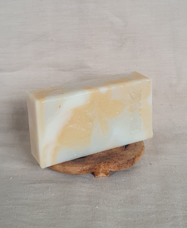 SHAMPOING AVOCAT [sans parfum ajouté]