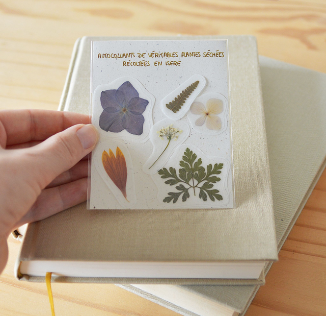 Autocollants de plantes séchées