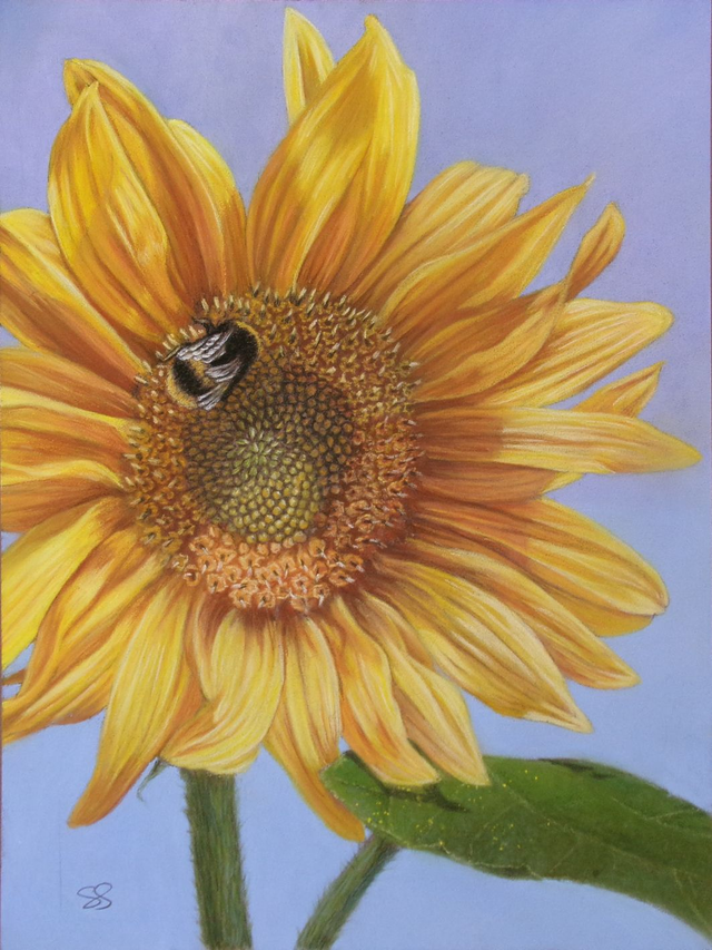 "Bee on Sunflower" 5.5x5.5" Limited Edition Print