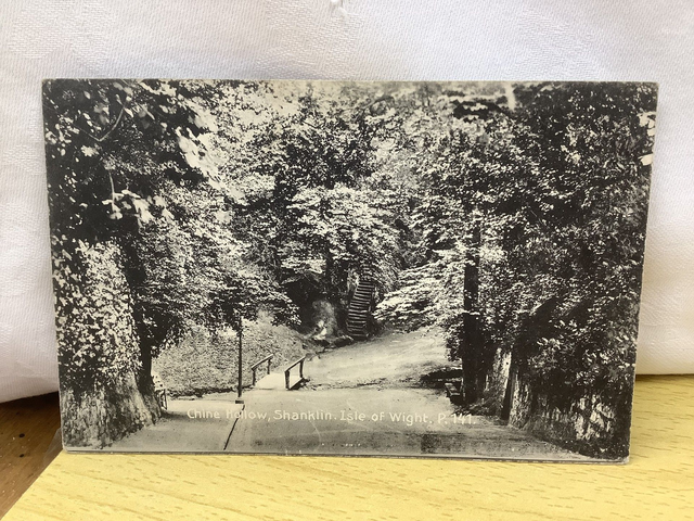 Shanklin, Chine Hollow, Isle of Wight, Posted 1913 The Premier Series Antique postcard. Our Ref No. R604 £2.75