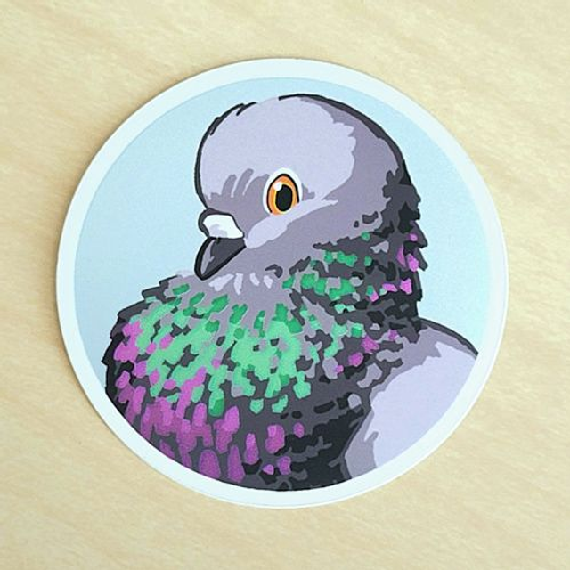 Pigeon shiny sticker