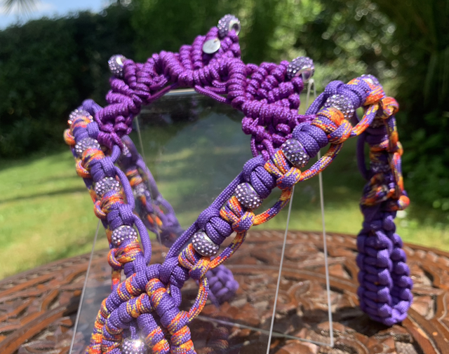 Headband PRESTIGE Purple Edition taille poney/cob/full