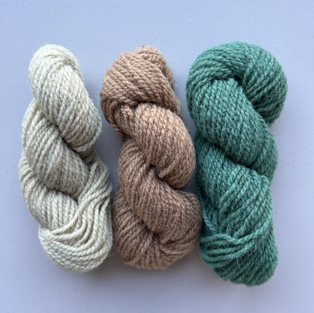 Mini skein set