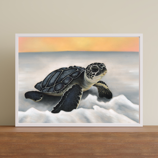 Tortue N°1