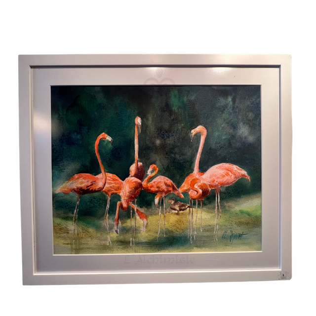 Flamants et cie