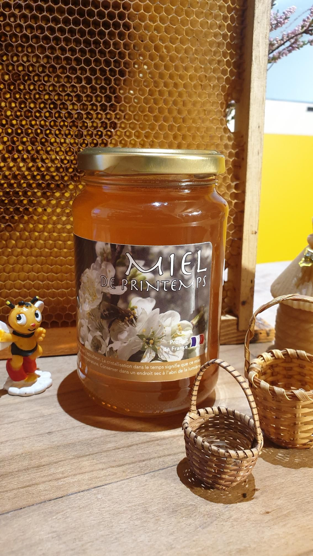 Miel de Printemps 500gr
