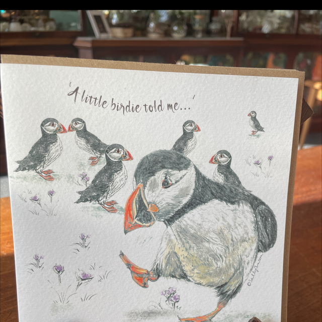 A little birdie told me 