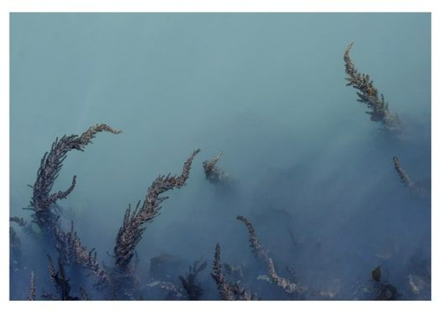 Carte Postale - Série Chromatique - Bleu