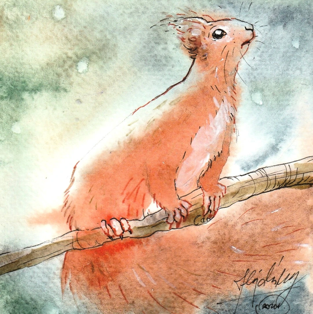 Képeslap, mókusles