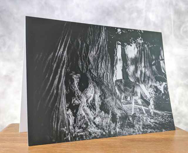 Tranquillity Blank Card