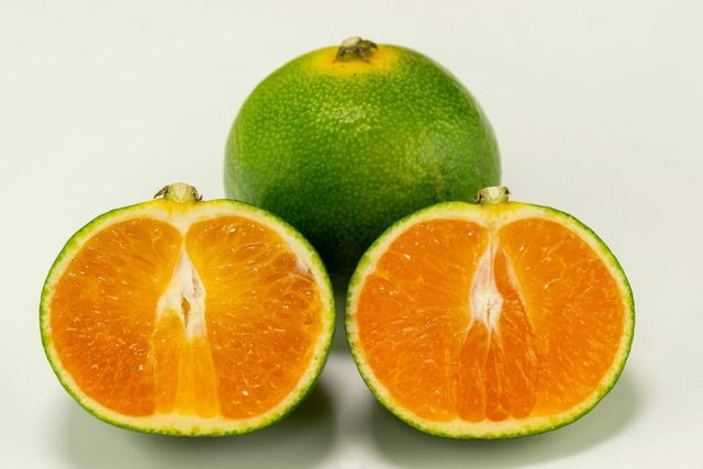 Mandarine Satsuma