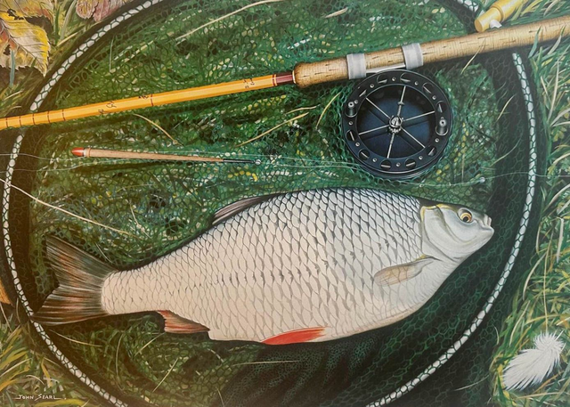 John Searl Print - 'Avon Roach'