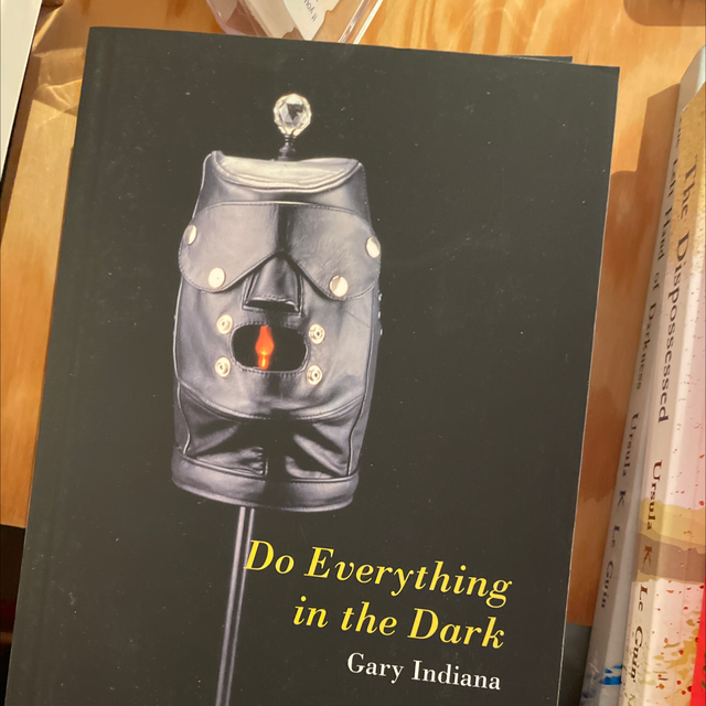 Do Everything In The Dark – Gary Indiana