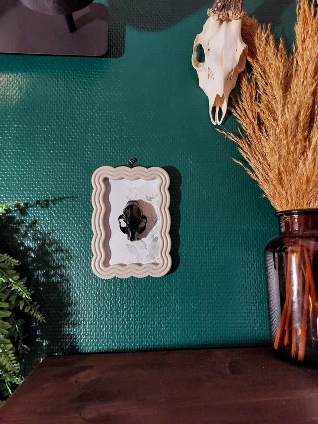 Cadre feuille crâne de chat noir