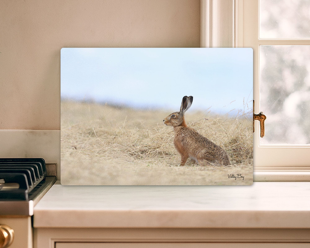 "Henry Hare" Glass Worktop Saver  