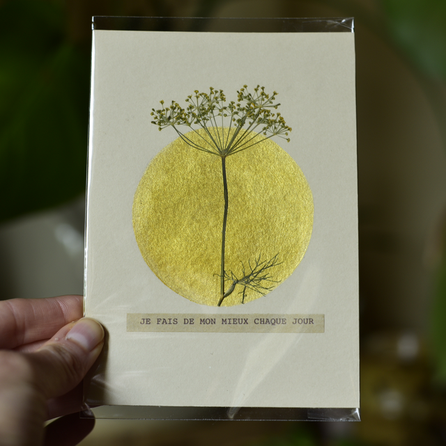carte postale • je fais de mon mieux chaque jour