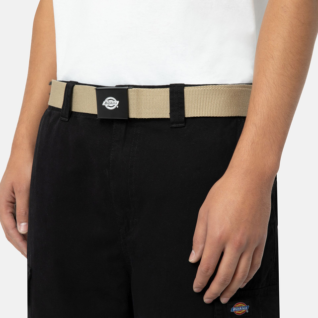 28938705 - DICKIES CINTURA CON FIBIA LOGO