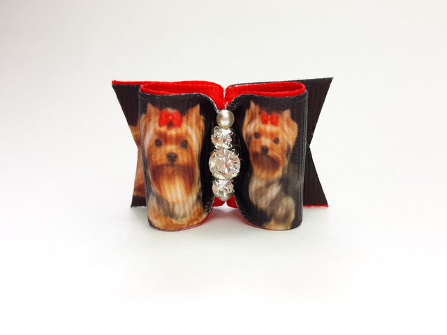 Noeud pour chien fantaisie-yorkshire-chien