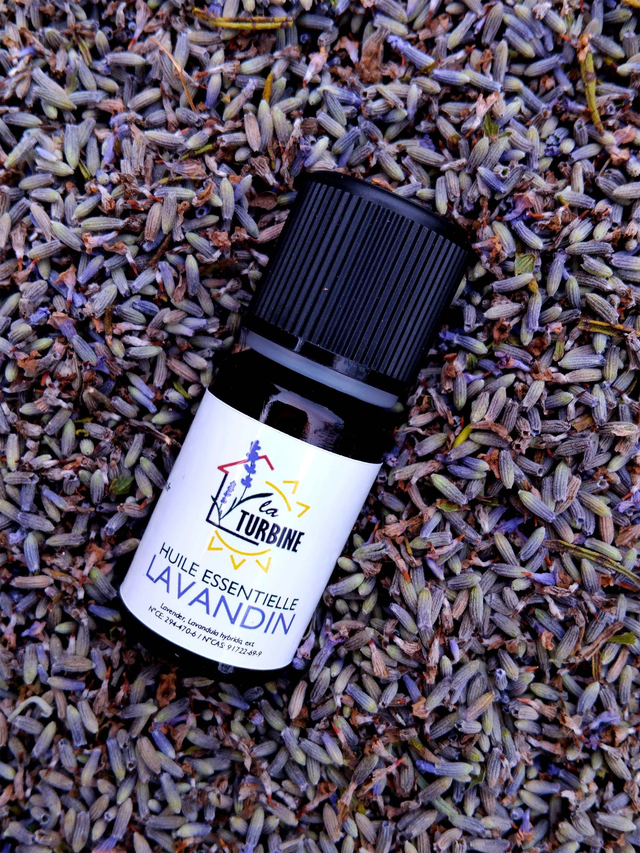 Huile essentielle de lavandin