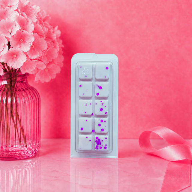 DREAMY CLAMSHELL