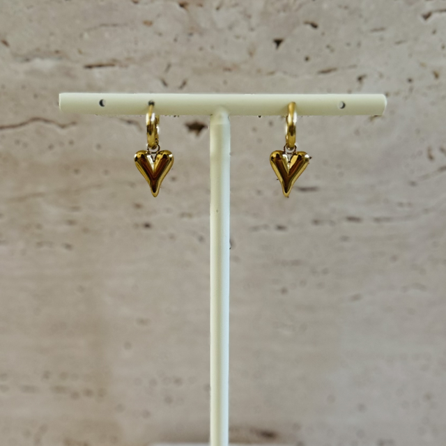 Oorbellen hartjes