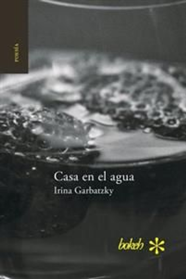 Casa en el agua - Irina Garbatzky