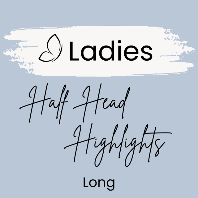 Half Head Highlights - Long