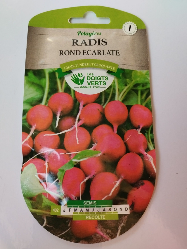 Radis Rond écarlate