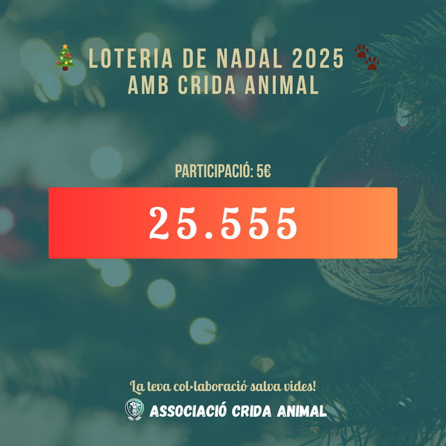 Participació de loteria 